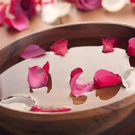 Mediterranean Holidays Appartamento Ierissós